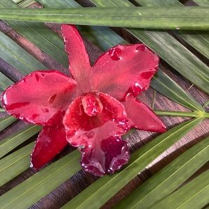 Real orchid hair clip/necklace❣️